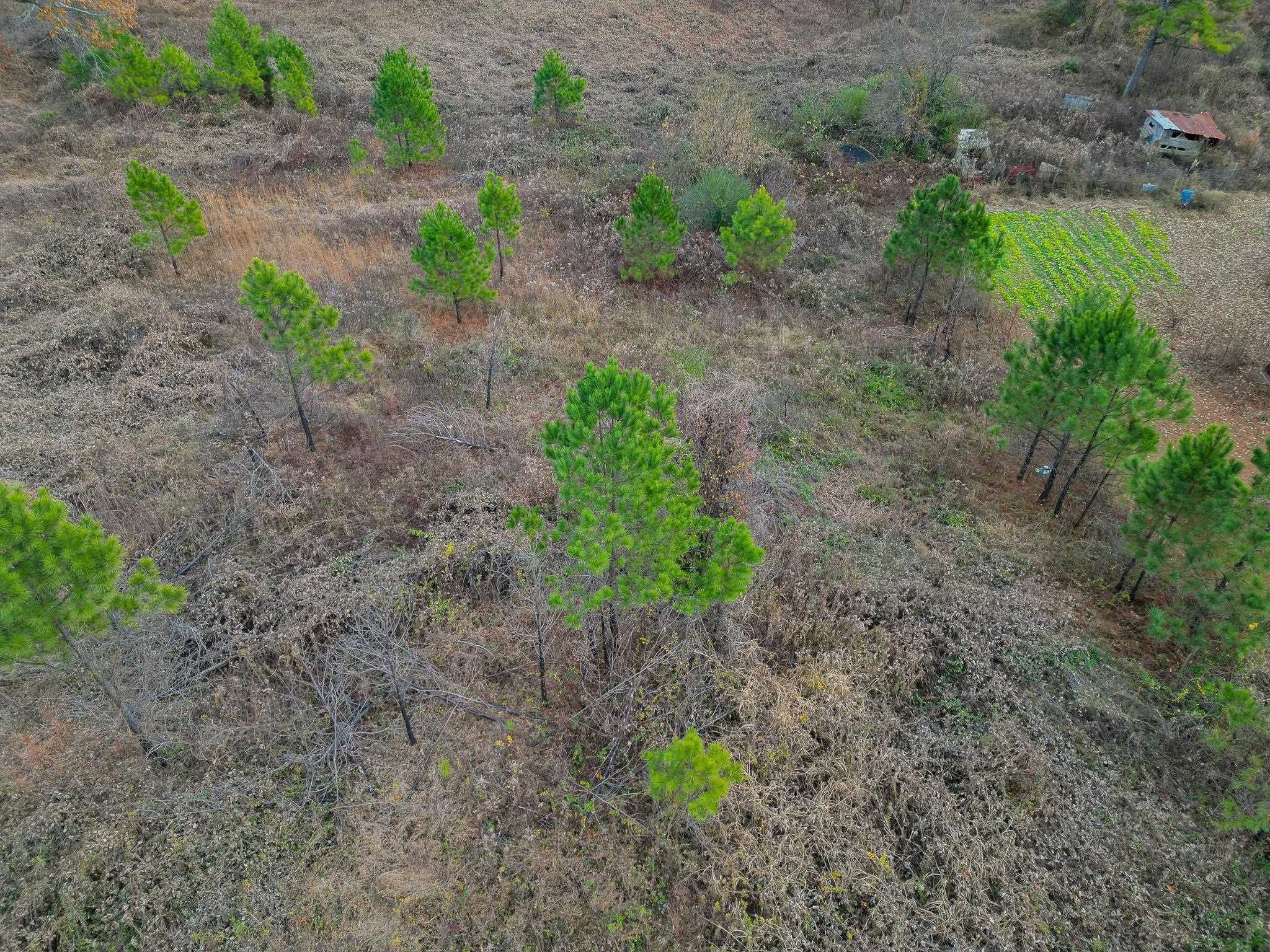 1 acres in Madison County, Tennessee