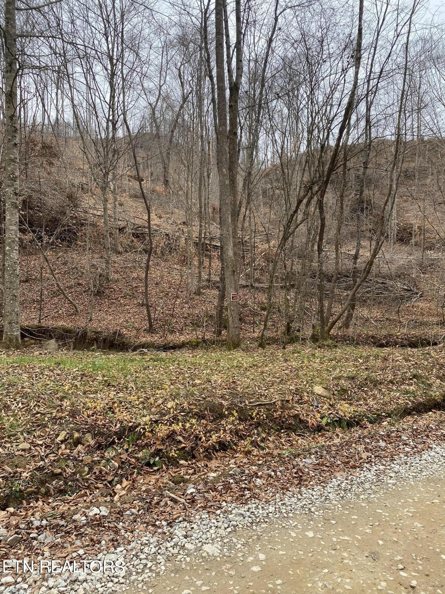 18.04 acres in Scott County, Tennessee