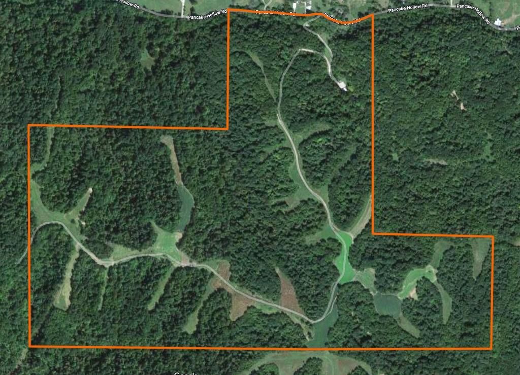 315 acres in Calhoun County, Illinois