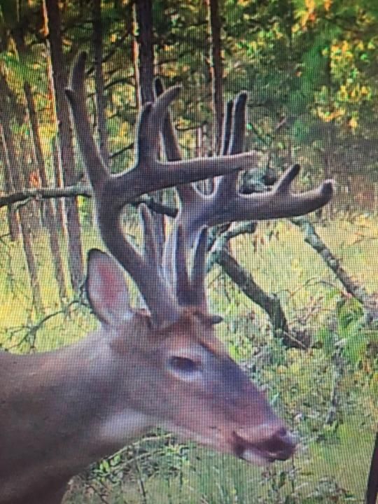 2056 Pelham Road, Climax, GA 39834