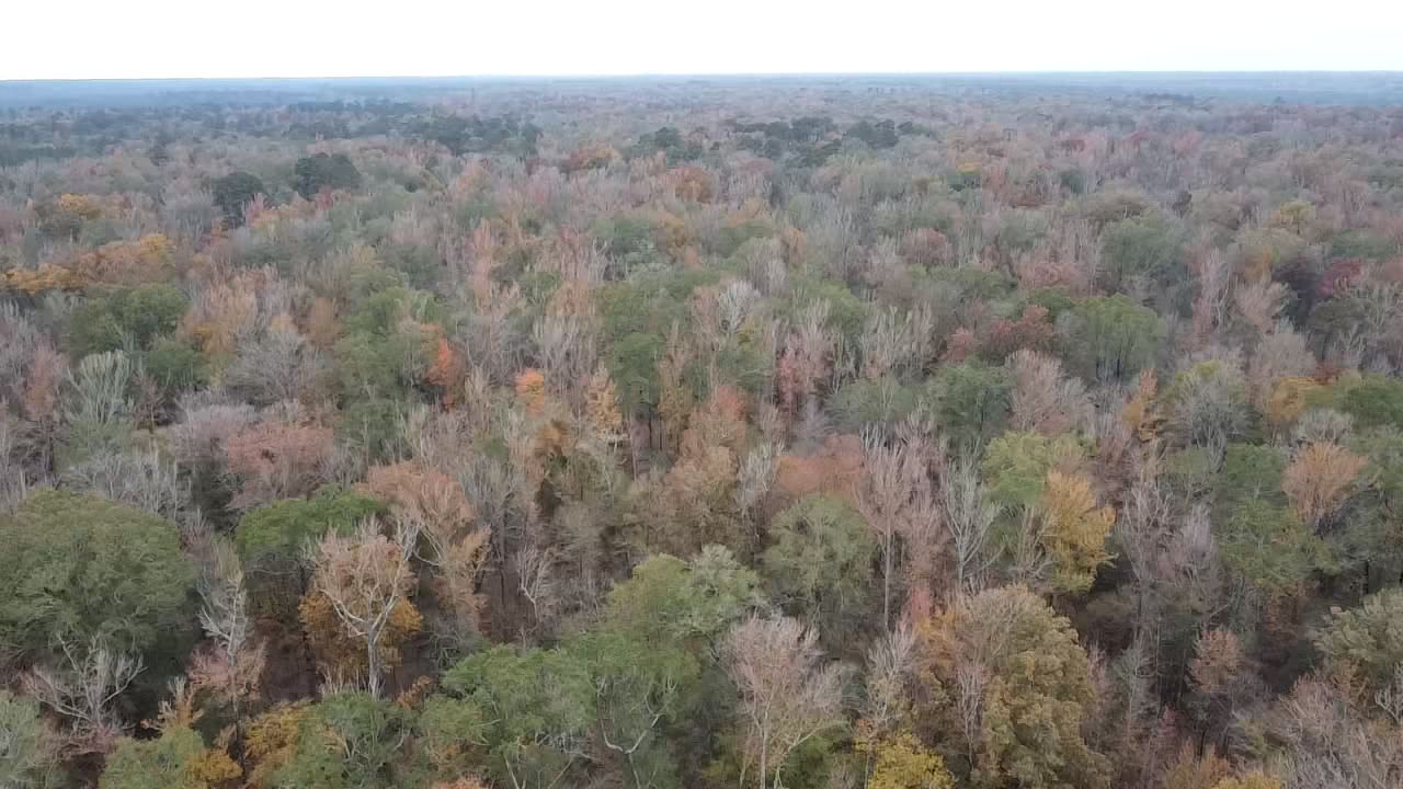 128 acres in Harrell, AR, 71745