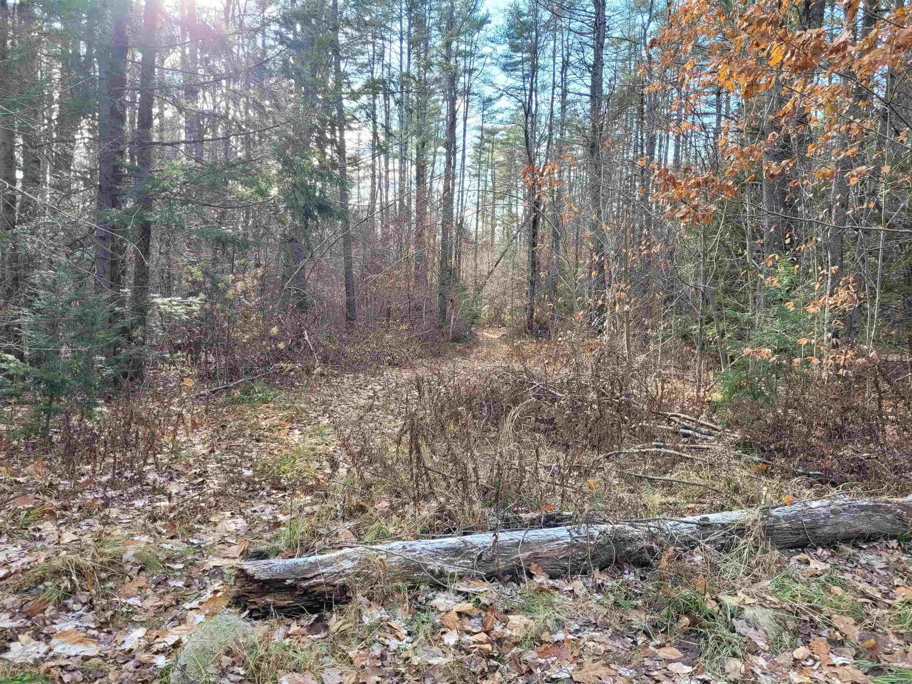 44.59 acres in Cheshire County, New Hampshire