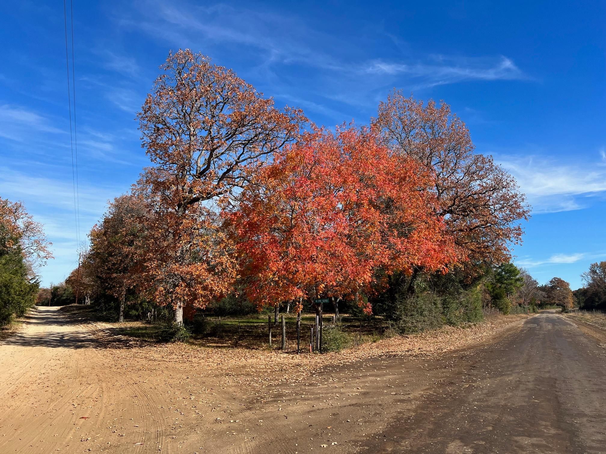 6 acres in Leon County, Texas