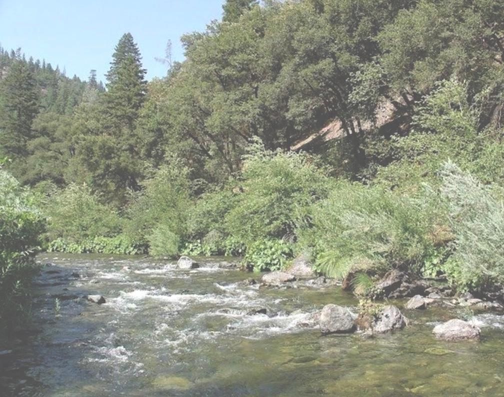 20 acres in Trinity County, California