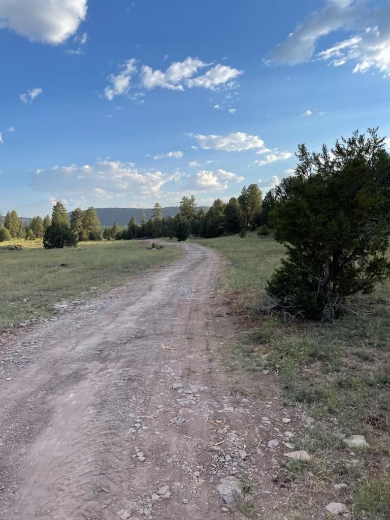17 acres in McKinley County, New Mexico