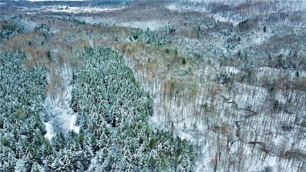 35 acres in Herkimer County, New York