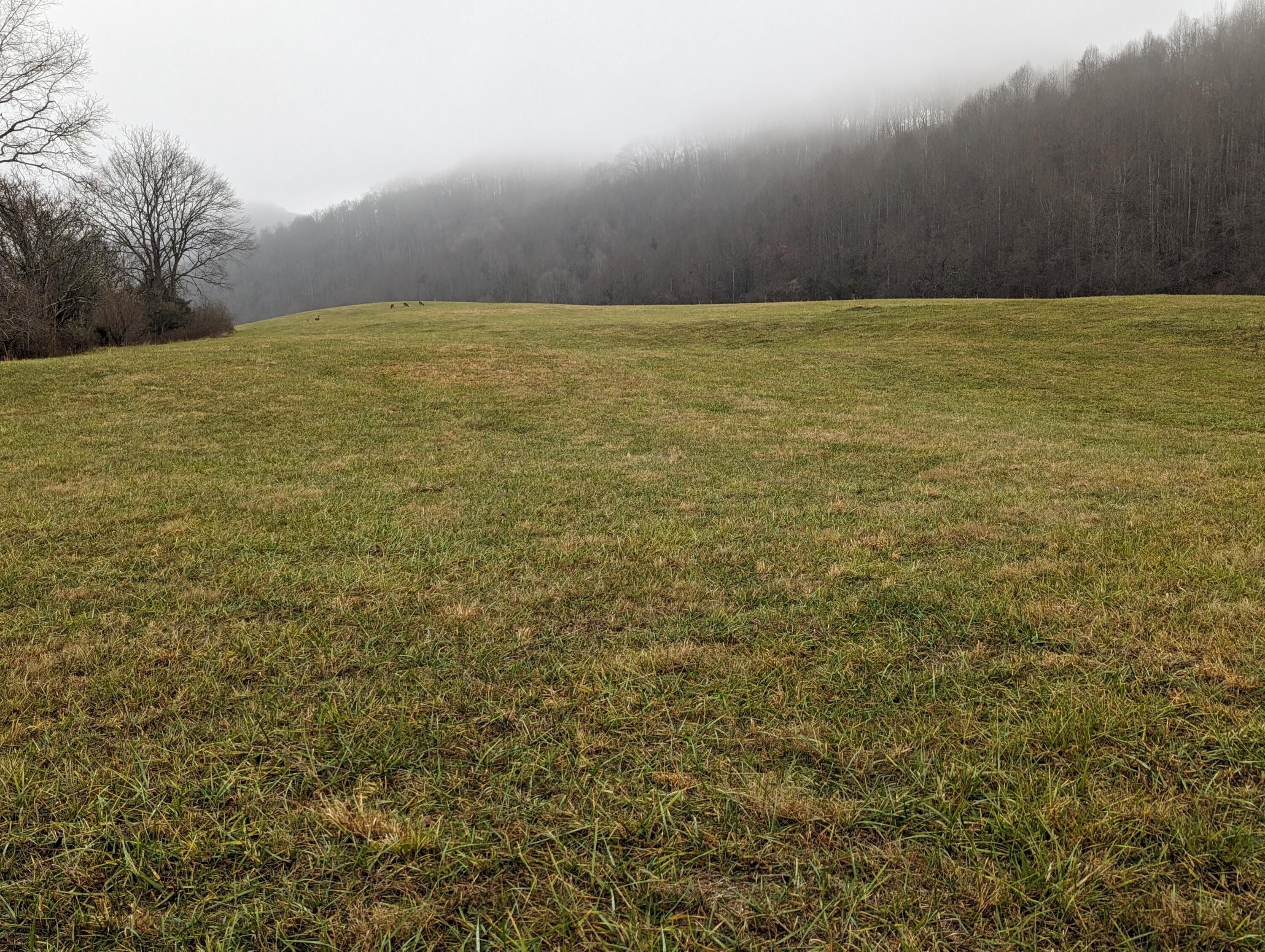 84 acres in Scott County, Virginia