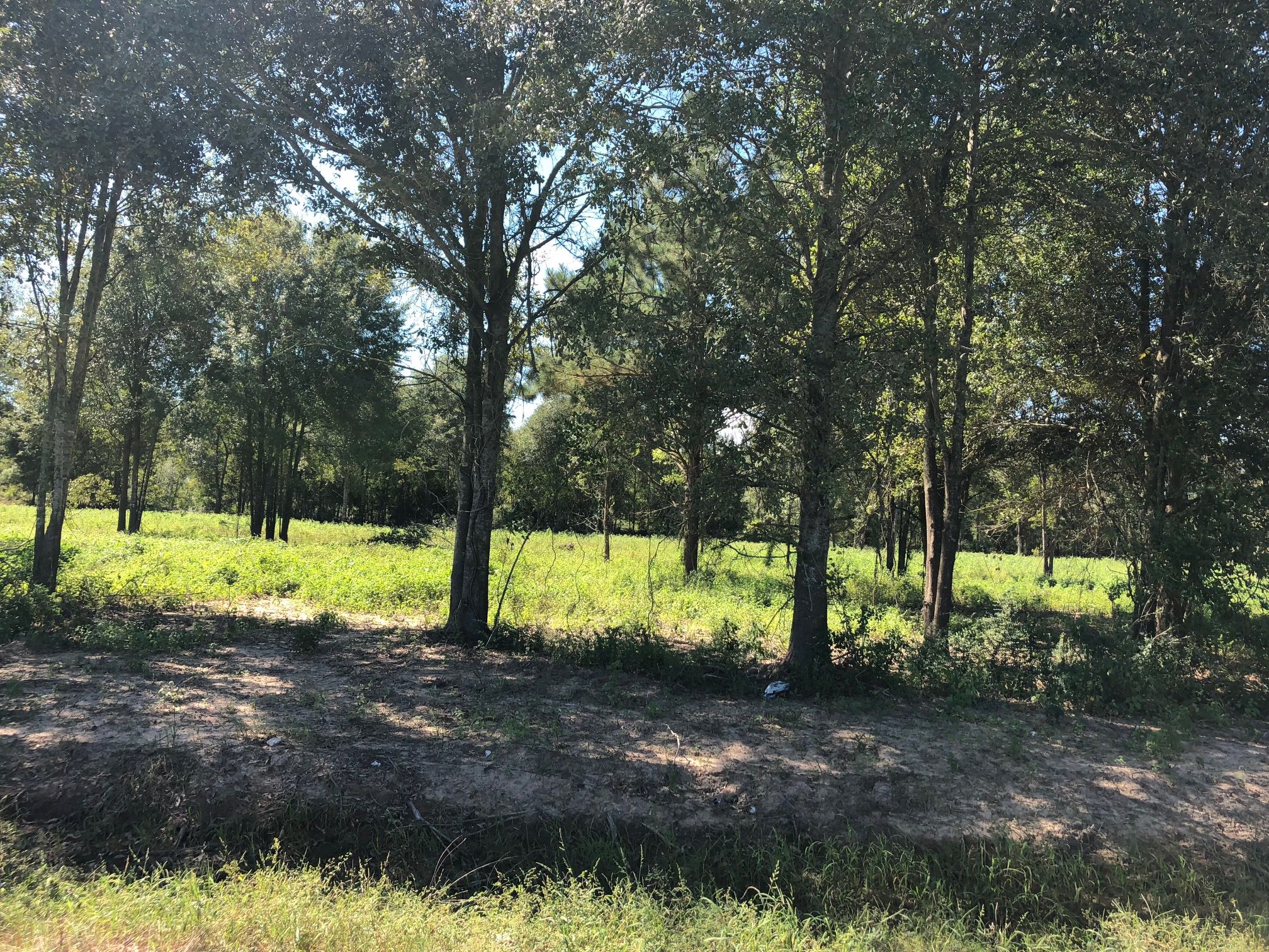 6 L'anse Meg Road, Mamou, LA 70554 MLS 18010581