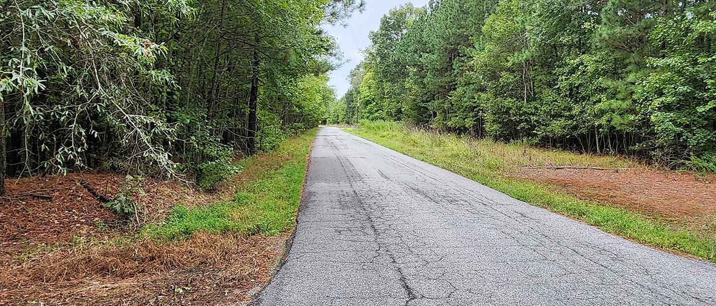 Sturgeon Point Road, Charles City, VA 23030