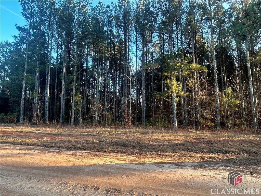 24 acres in Wilkes County,
