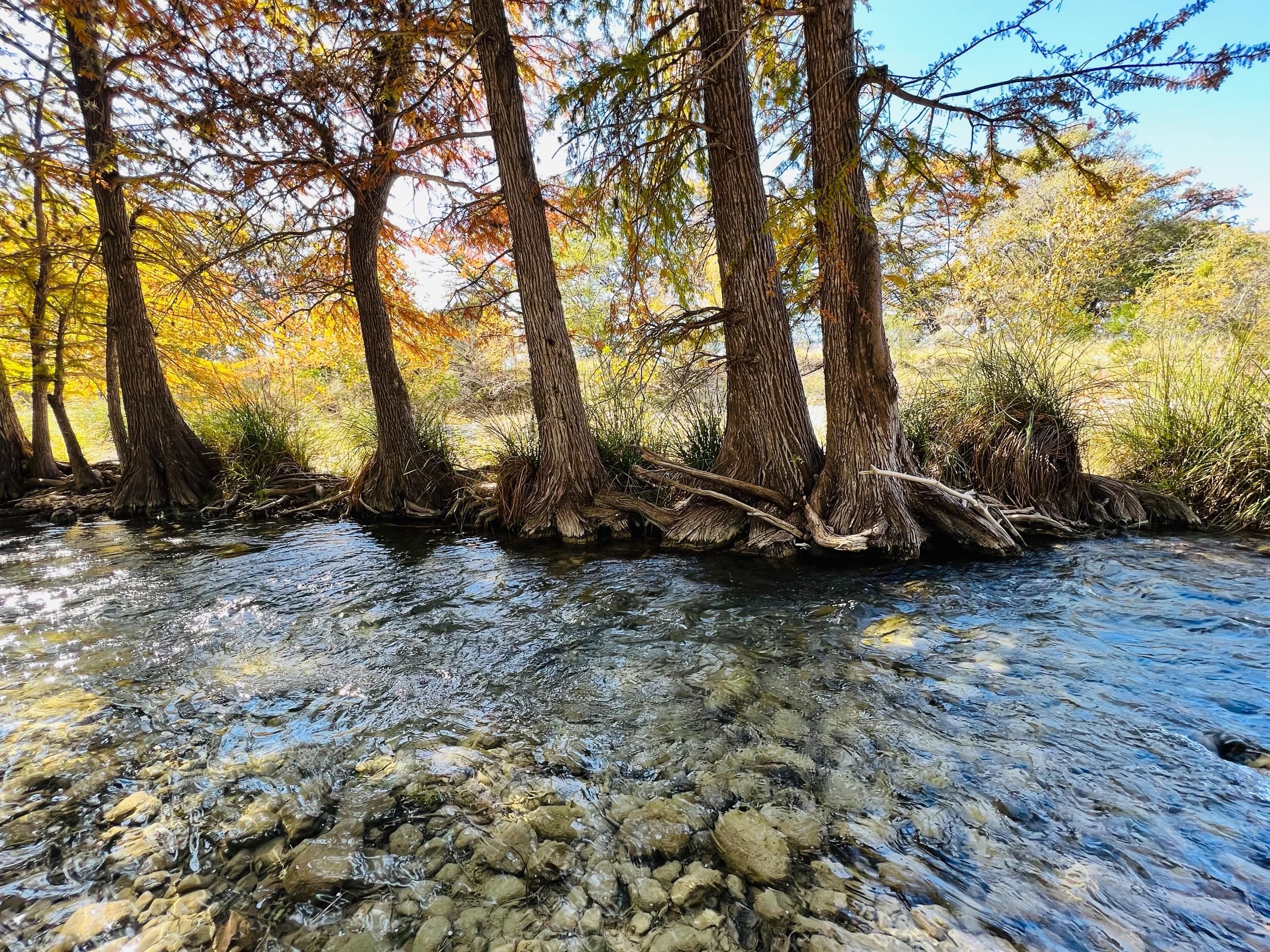 20 acres in Real County, Texas
