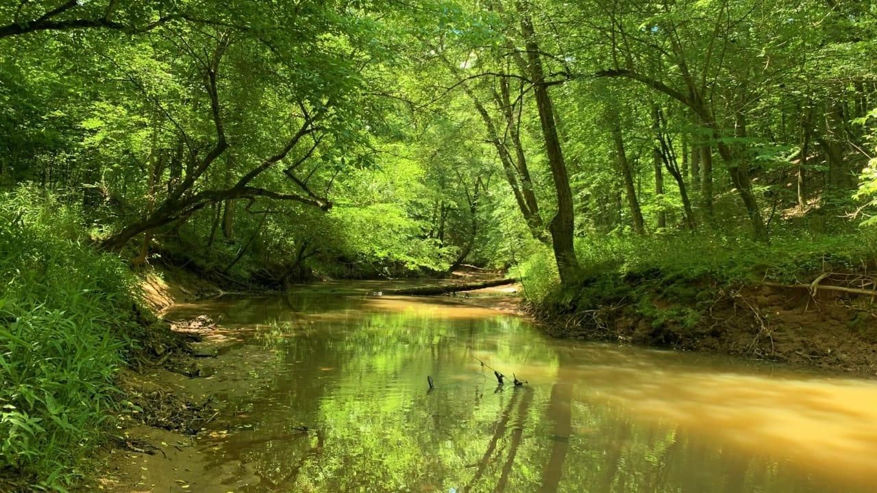 500 Johnson Rd, Crawfordville, GA 30631