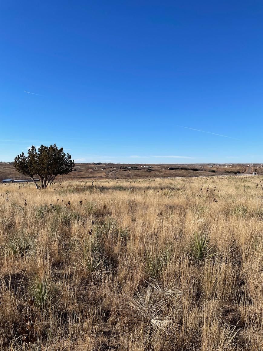 70 acres in Potter County, Texas