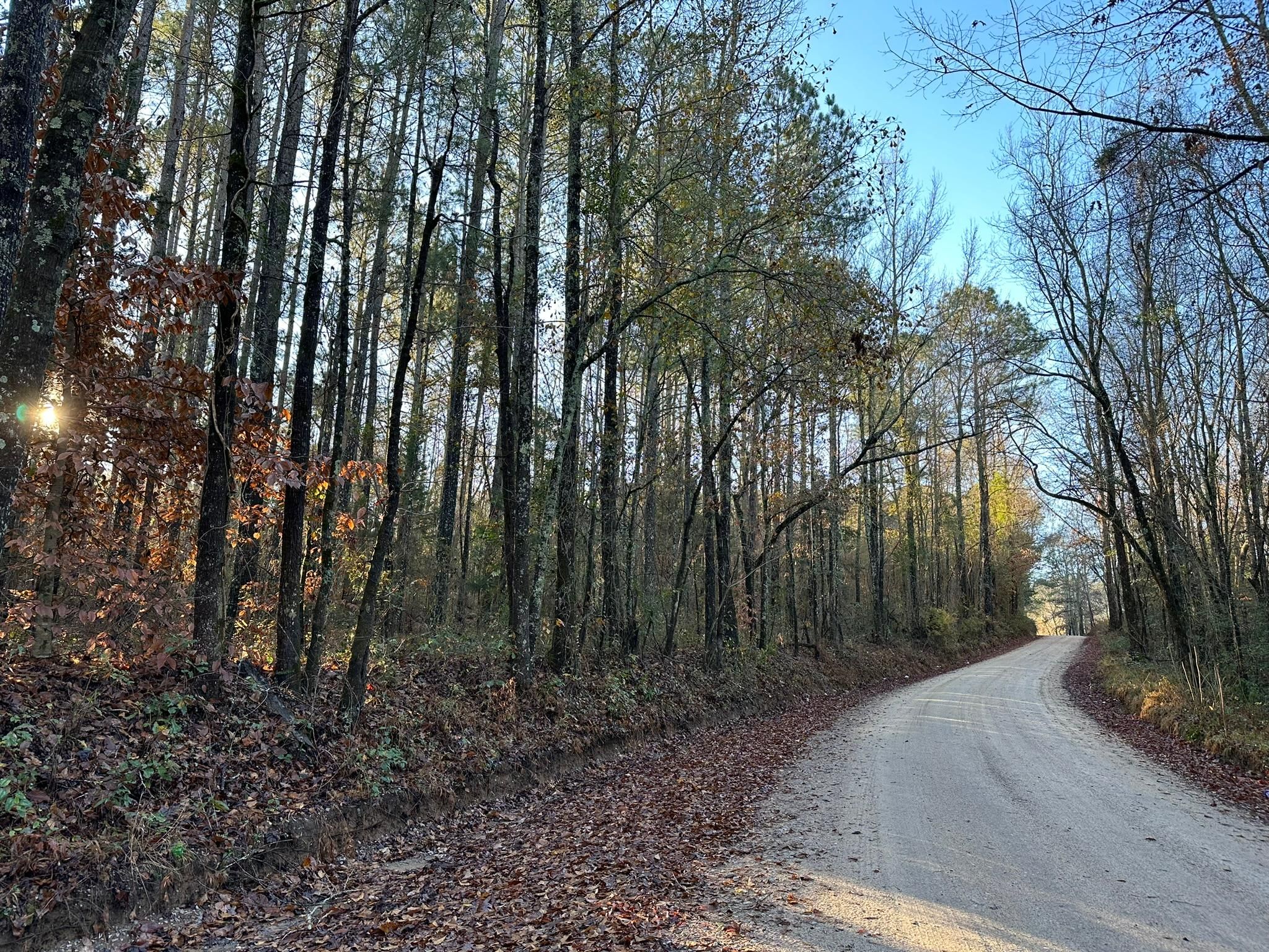 Campbell Road, BatesburgLeesville, SC 29006 MLS 523392