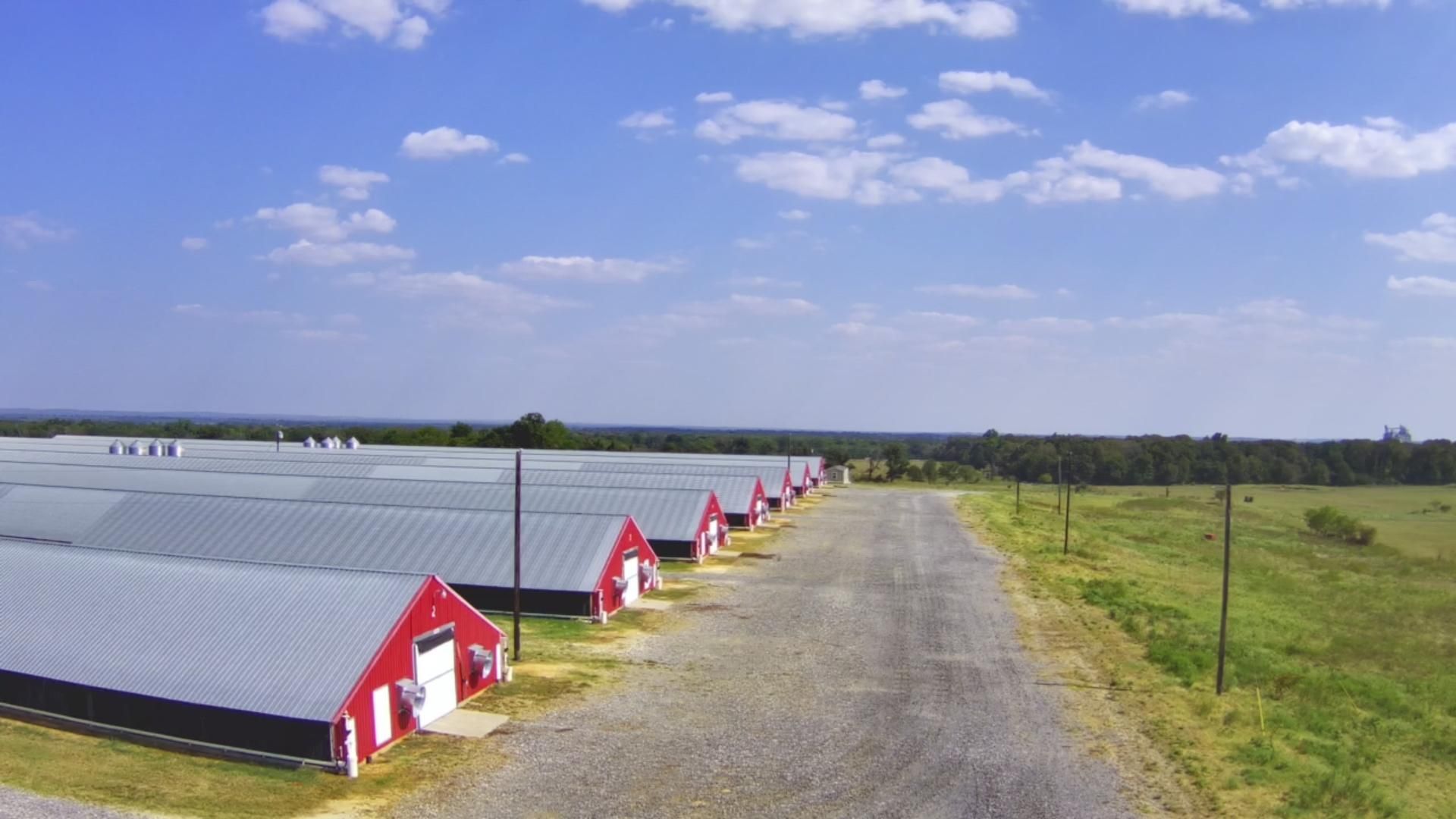 85 acres in Leon County, Texas