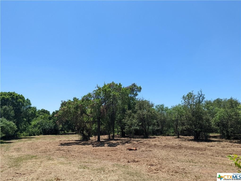 15 acres in Gonzales County, Texas