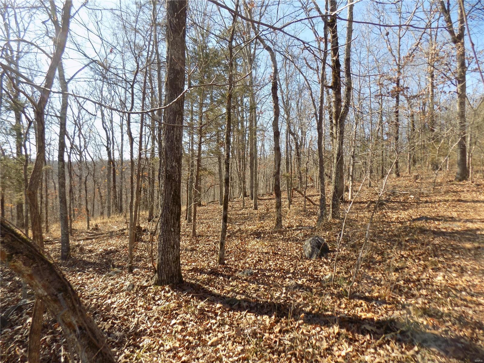 41 acres in Iron County, Missouri