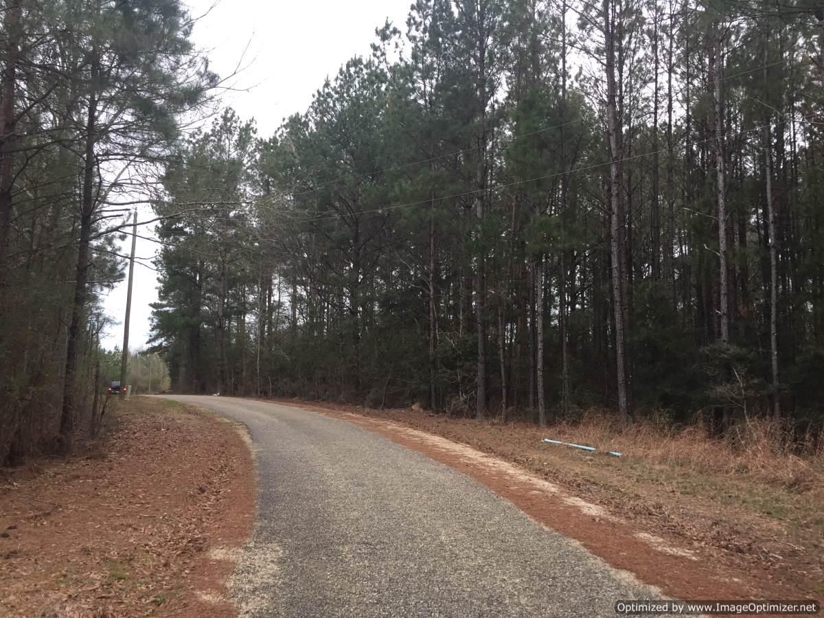 21236 Ellis Brumfield Road, Kentwood, LA 70444 MLS 140480