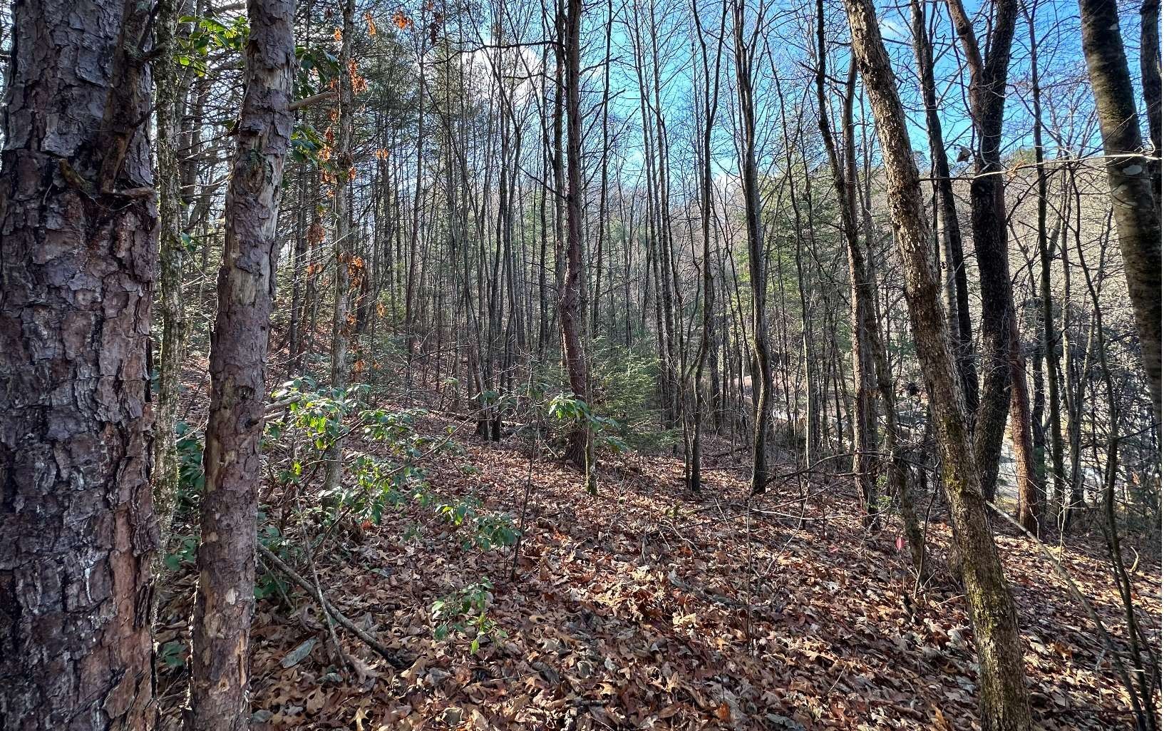 5.74 acres in Graham County, North Carolina