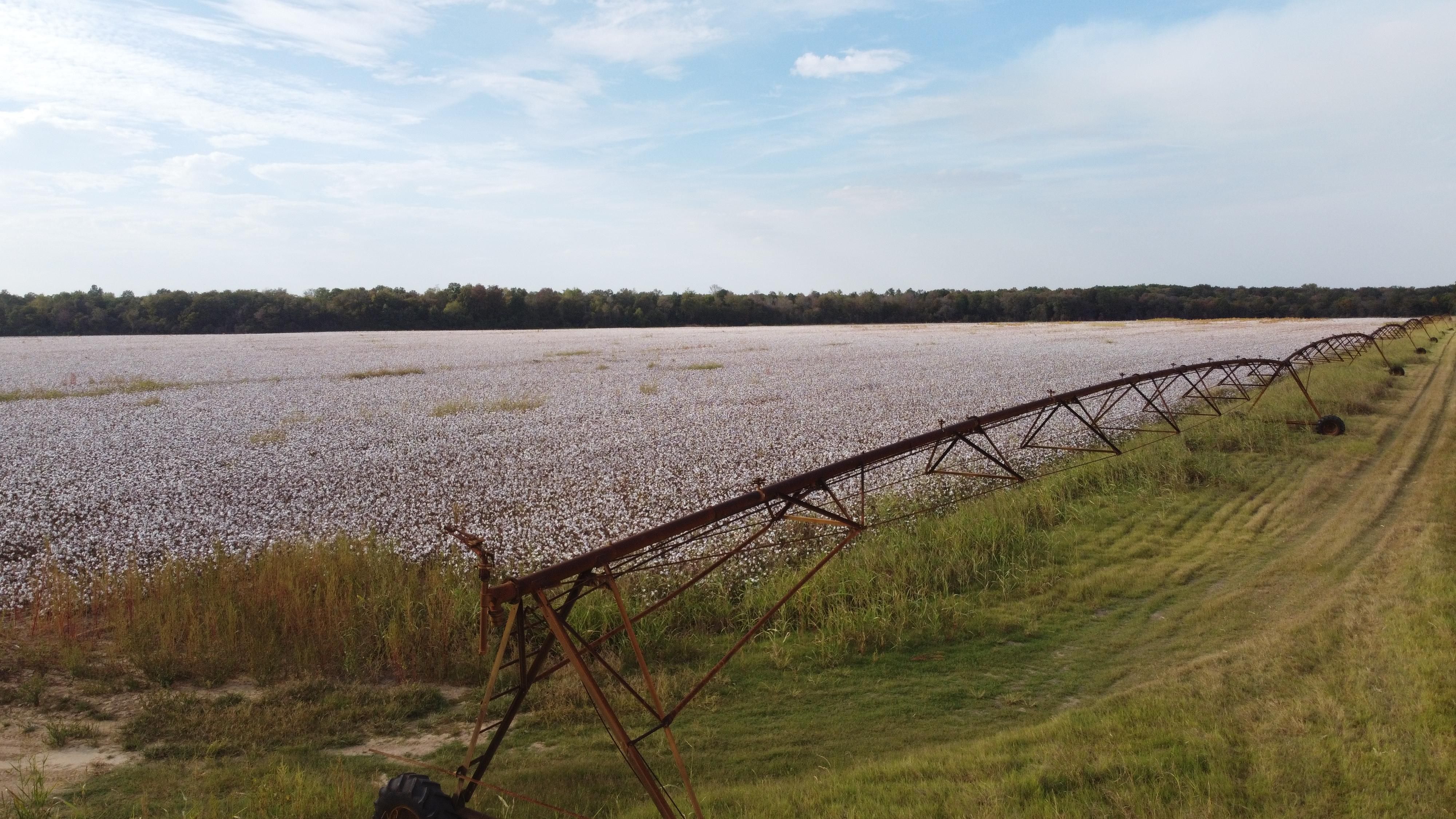 95 acres in Woodruff County, Arkansas