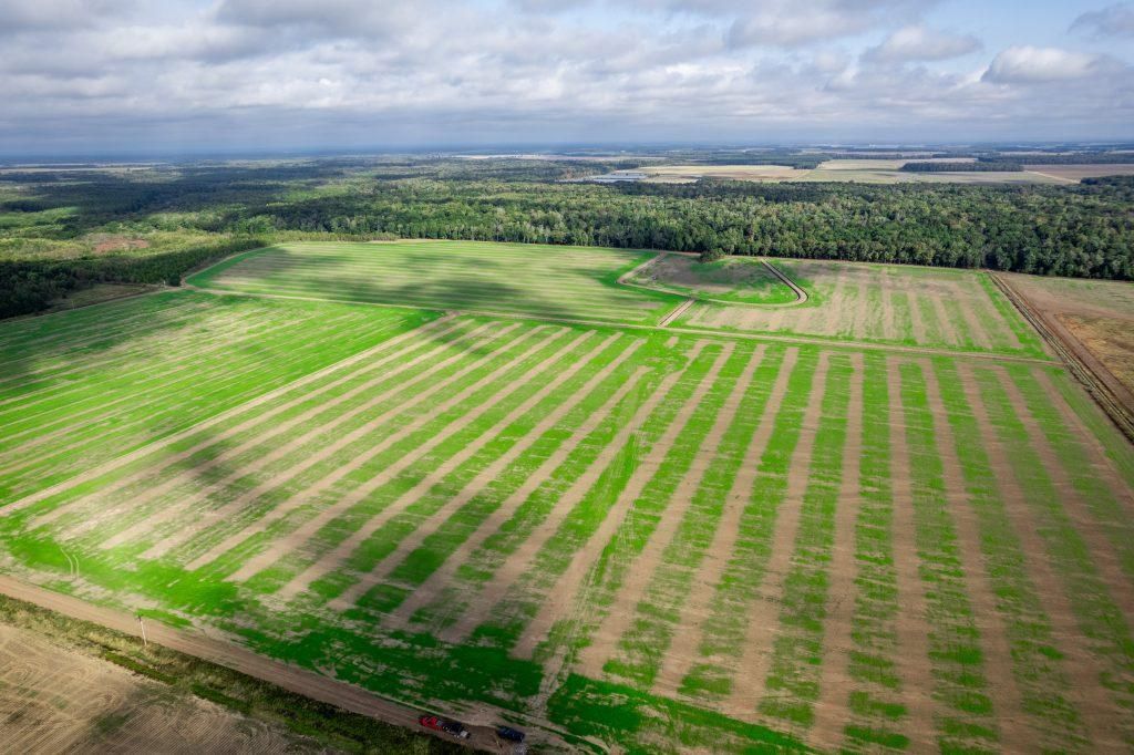 386 acres in Prairie County, Arkansas