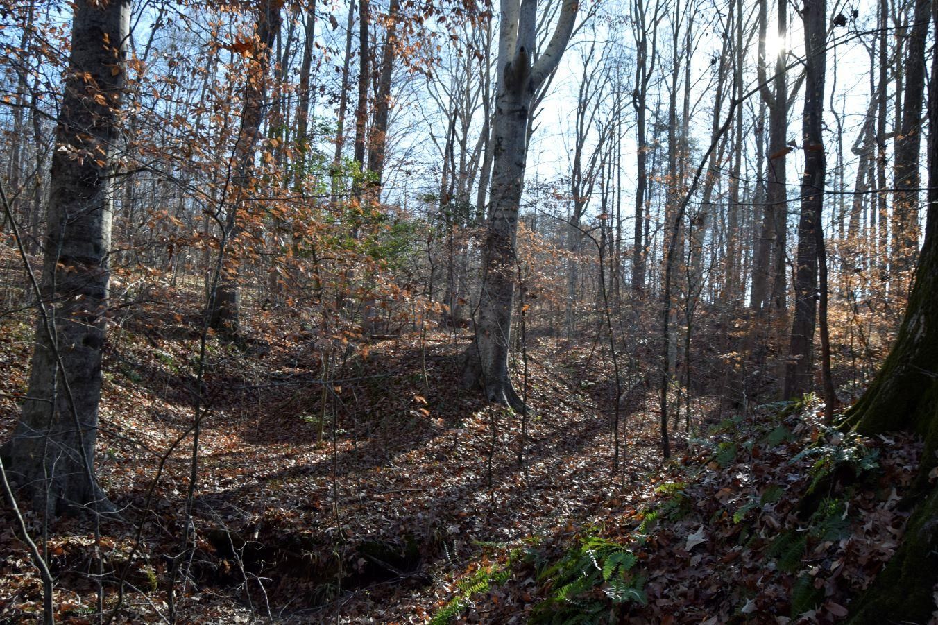 10.36 acres in Prince Edward County, Virginia