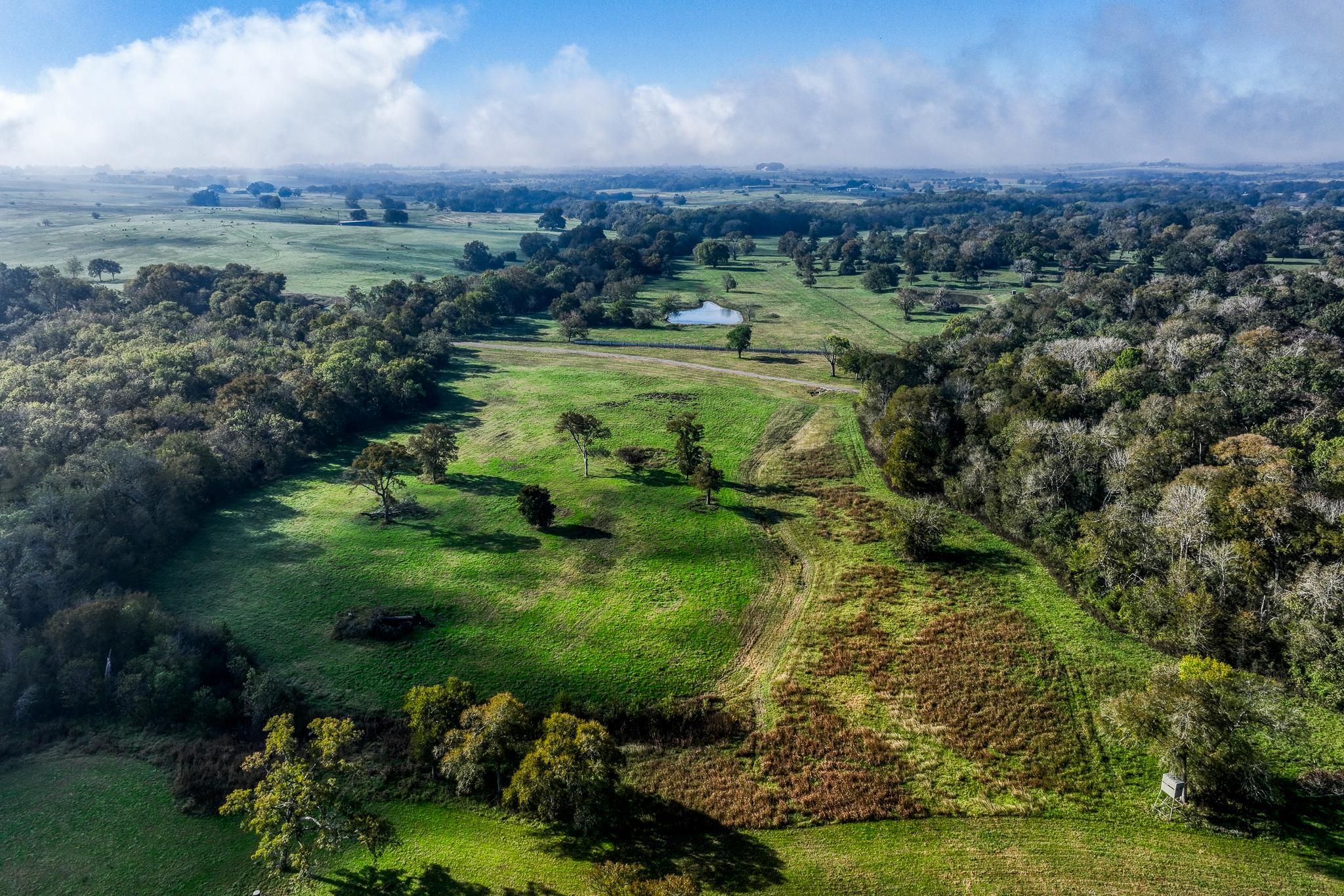 8751 FM 1371, Chappell Hill, TX 77426