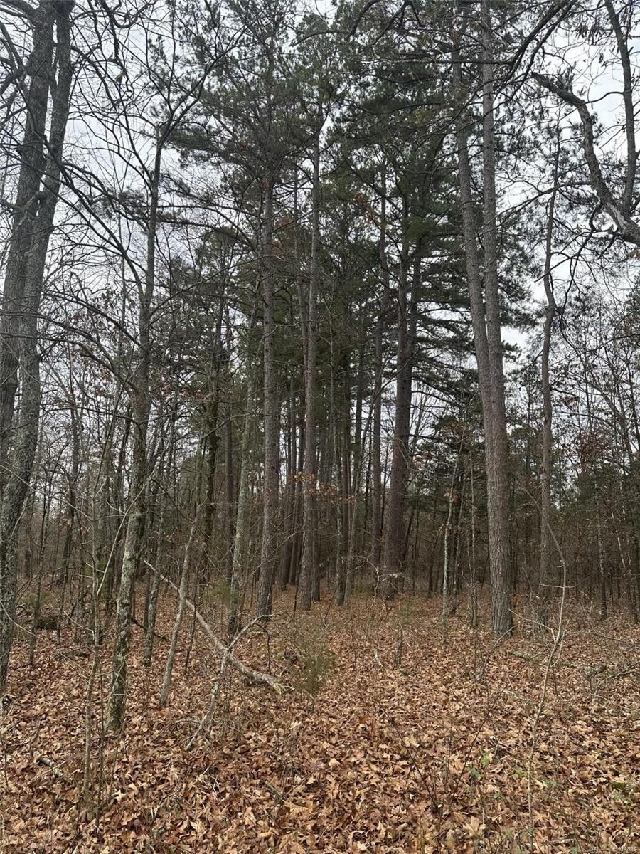 89 acres in Ripley County, Missouri