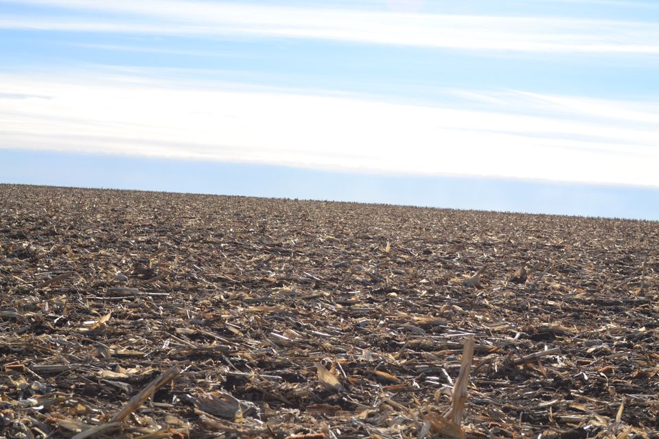 160 acres in Moody County, South Dakota