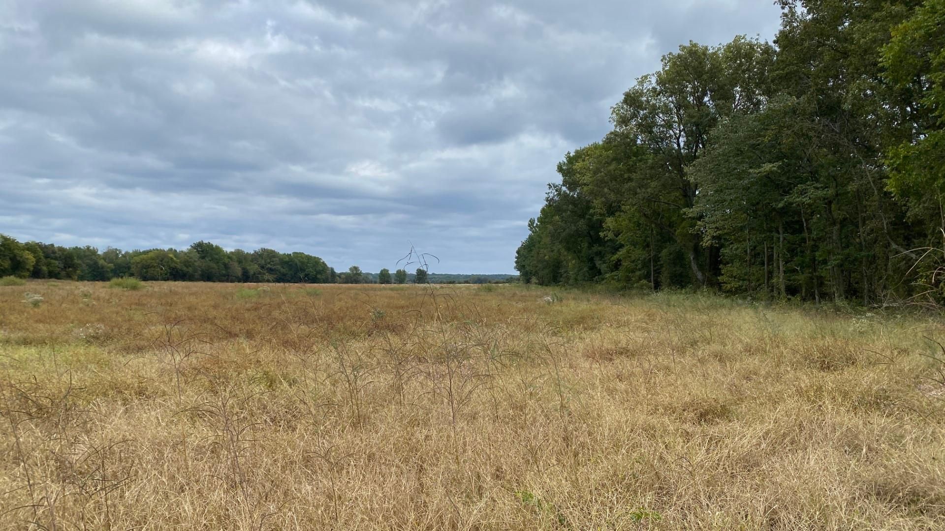 39 acres in Lexa, AR, 72355