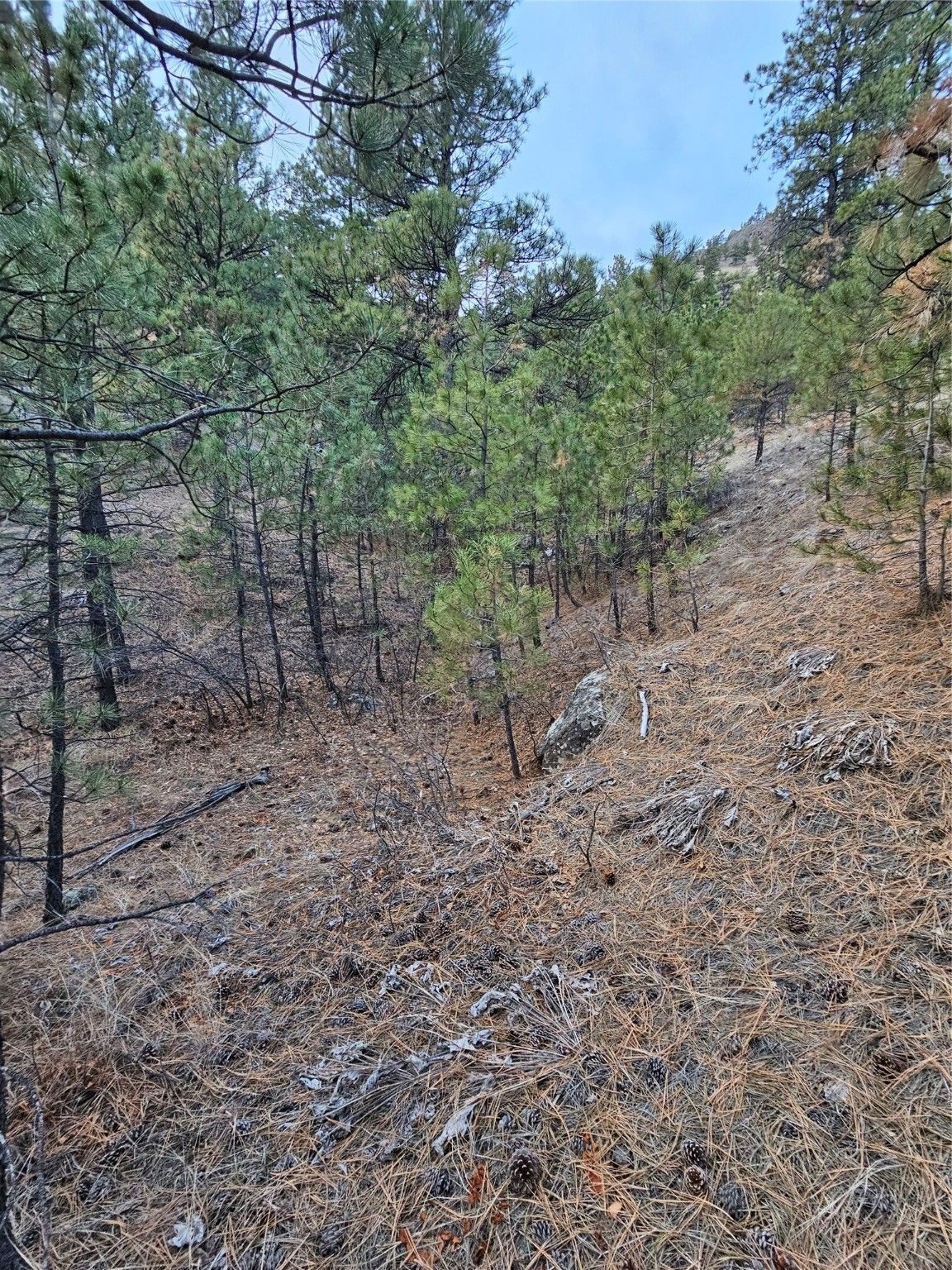 Nhn Pryor Creek Lane, Cascade, MT 59421 MLS 30017139