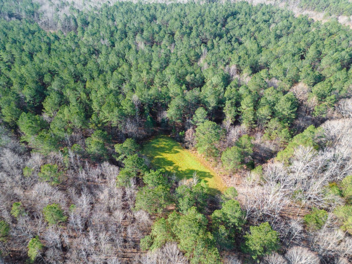 130 Acres, Holmes County, MS, Durant, MS 39063