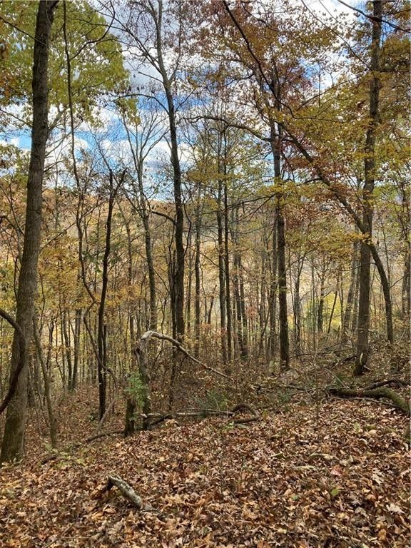 20 acres in Newton County, Arkansas