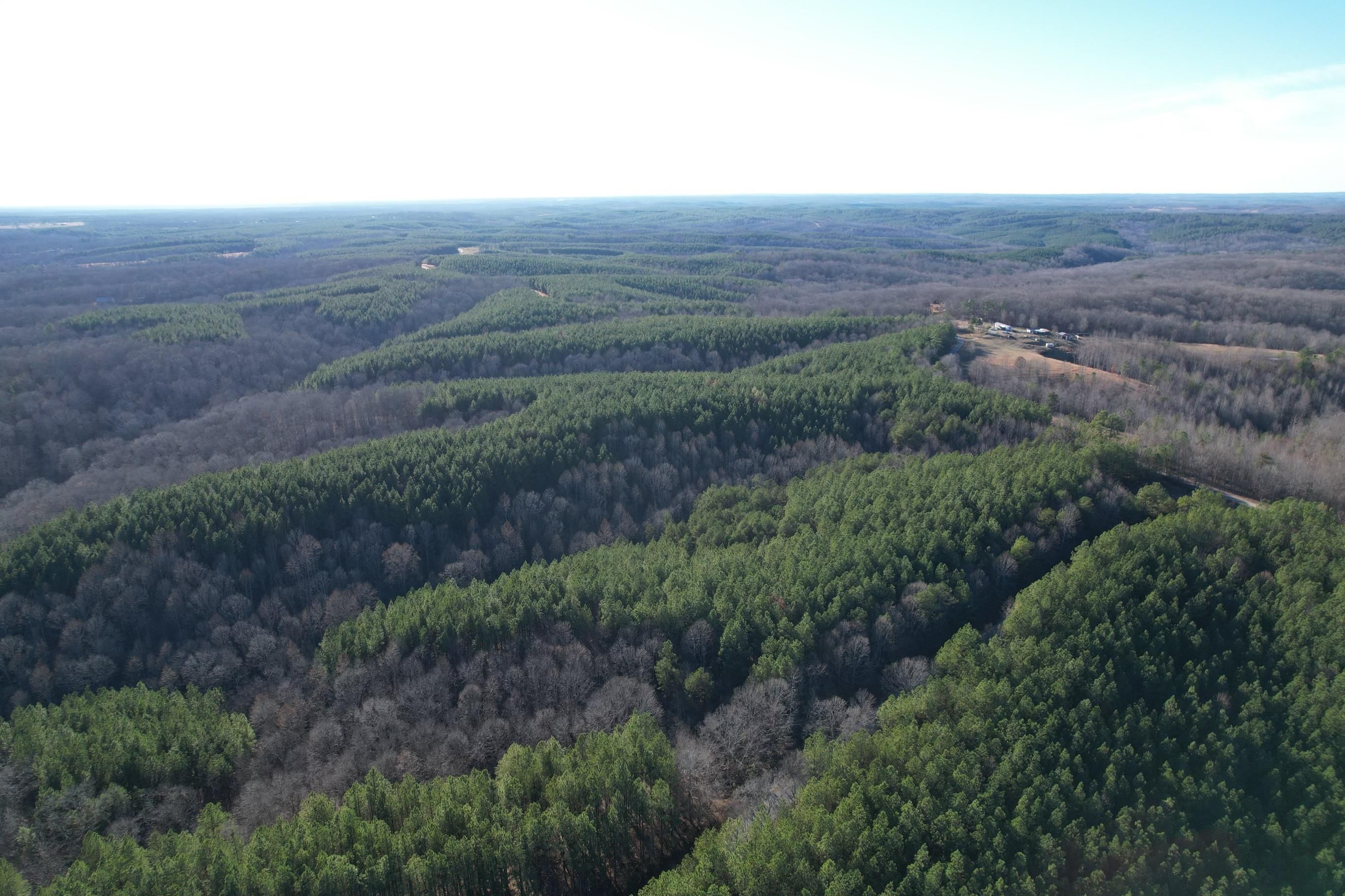 50 acres in Lewis County, Tennessee