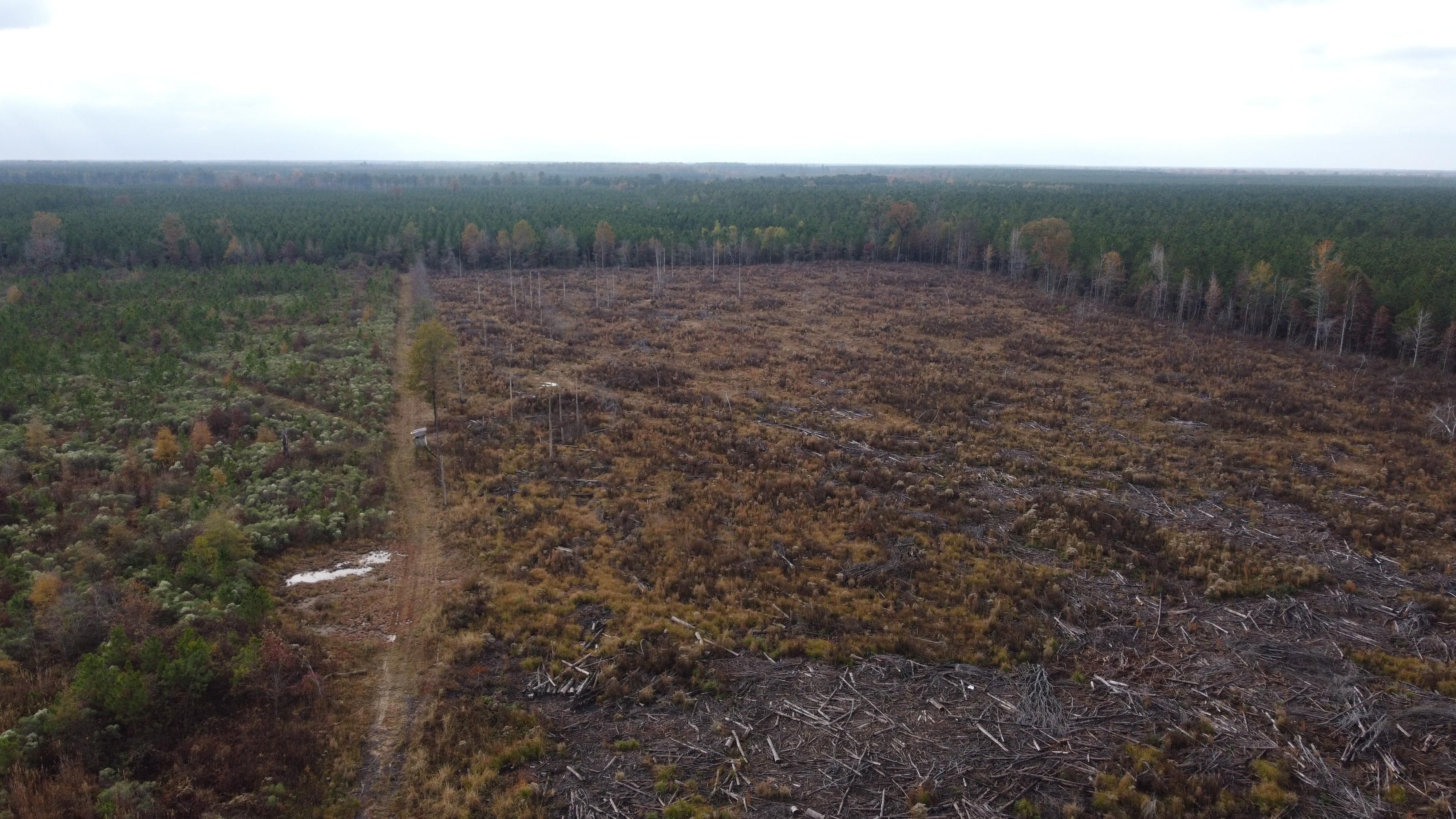 20 acres in Drew County, Arkansas