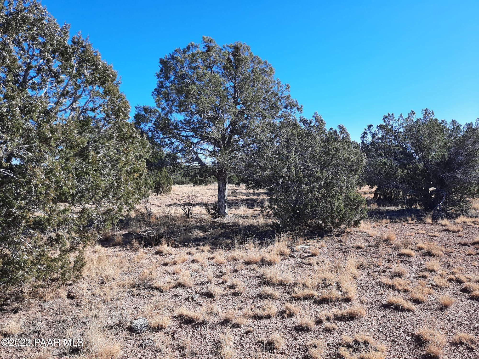 20 acres in Yavapai County, Arizona