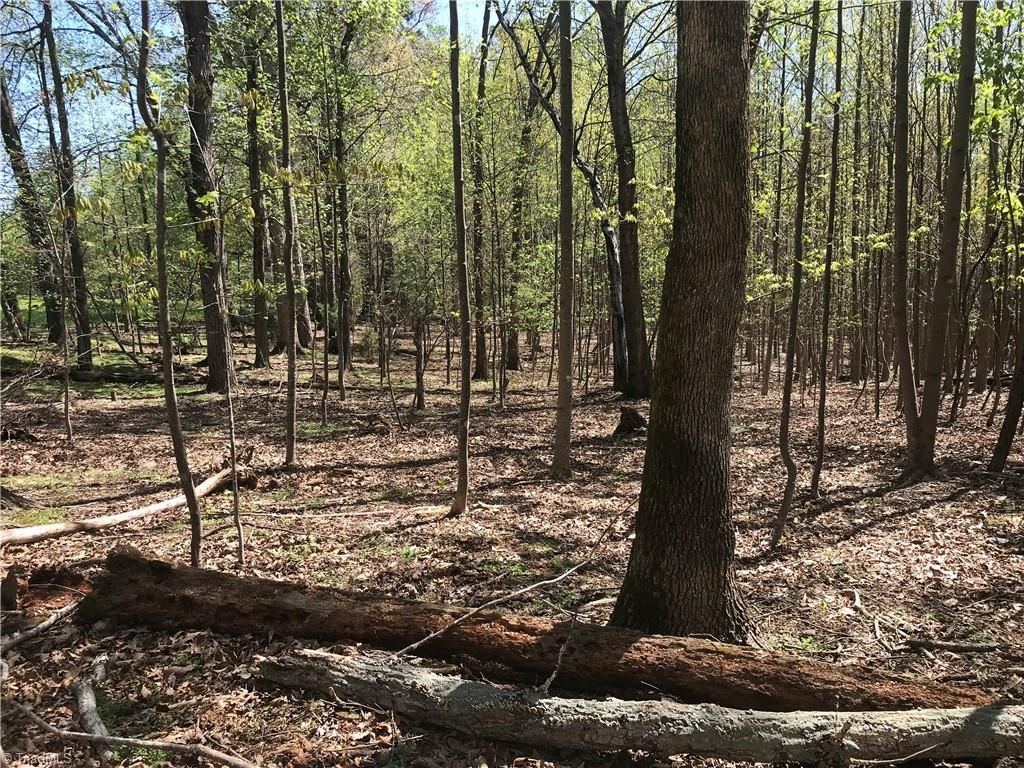 10.02 acres in Surry County, North Carolina
