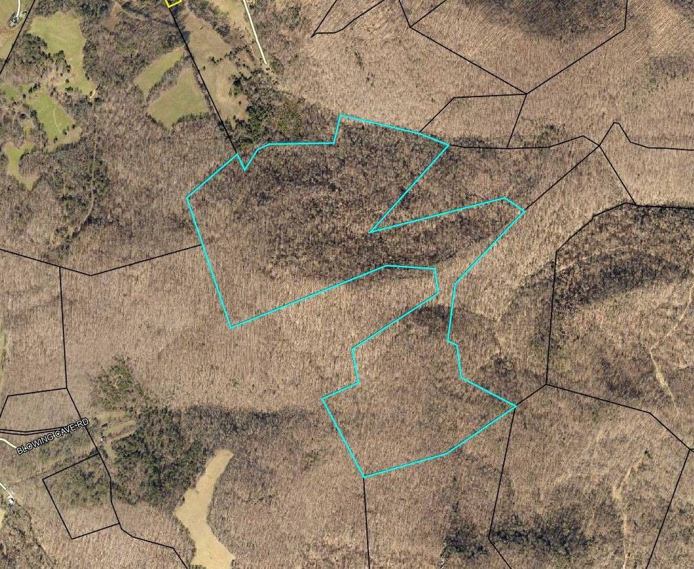 124.94 acres in Wayne County, Kentucky