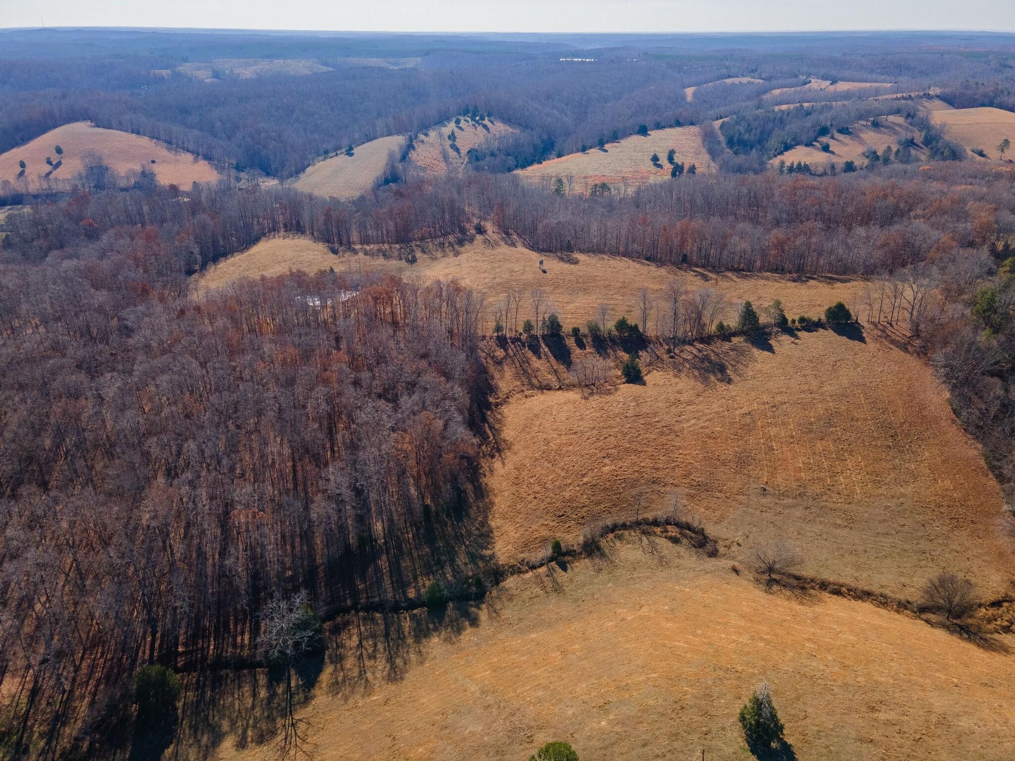 55 acres in Wayne County, Tennessee