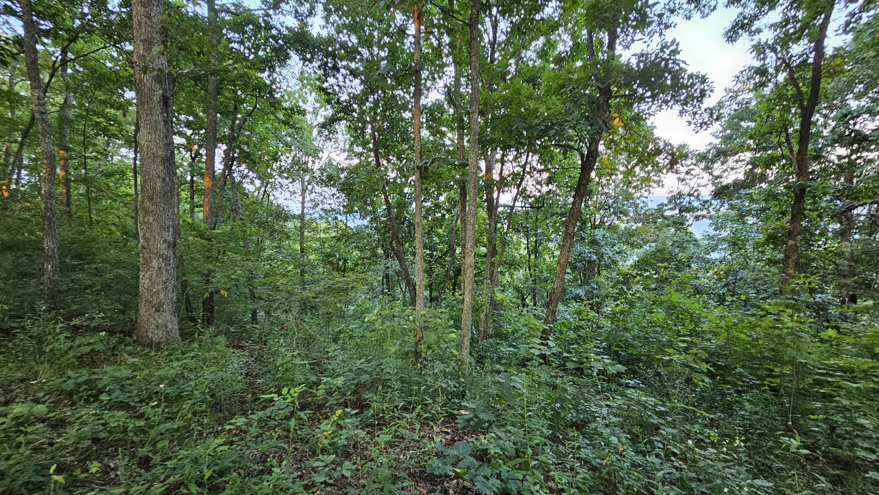 5 acres in Monroe County, West Virginia