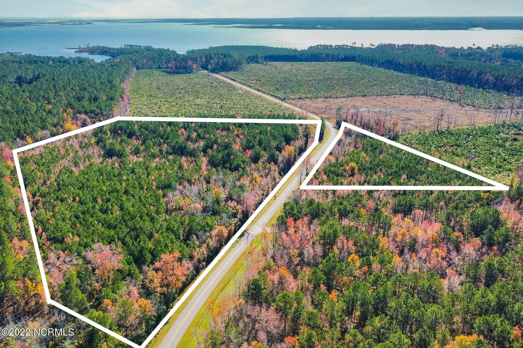 20 acres in Pamlico County, North Carolina