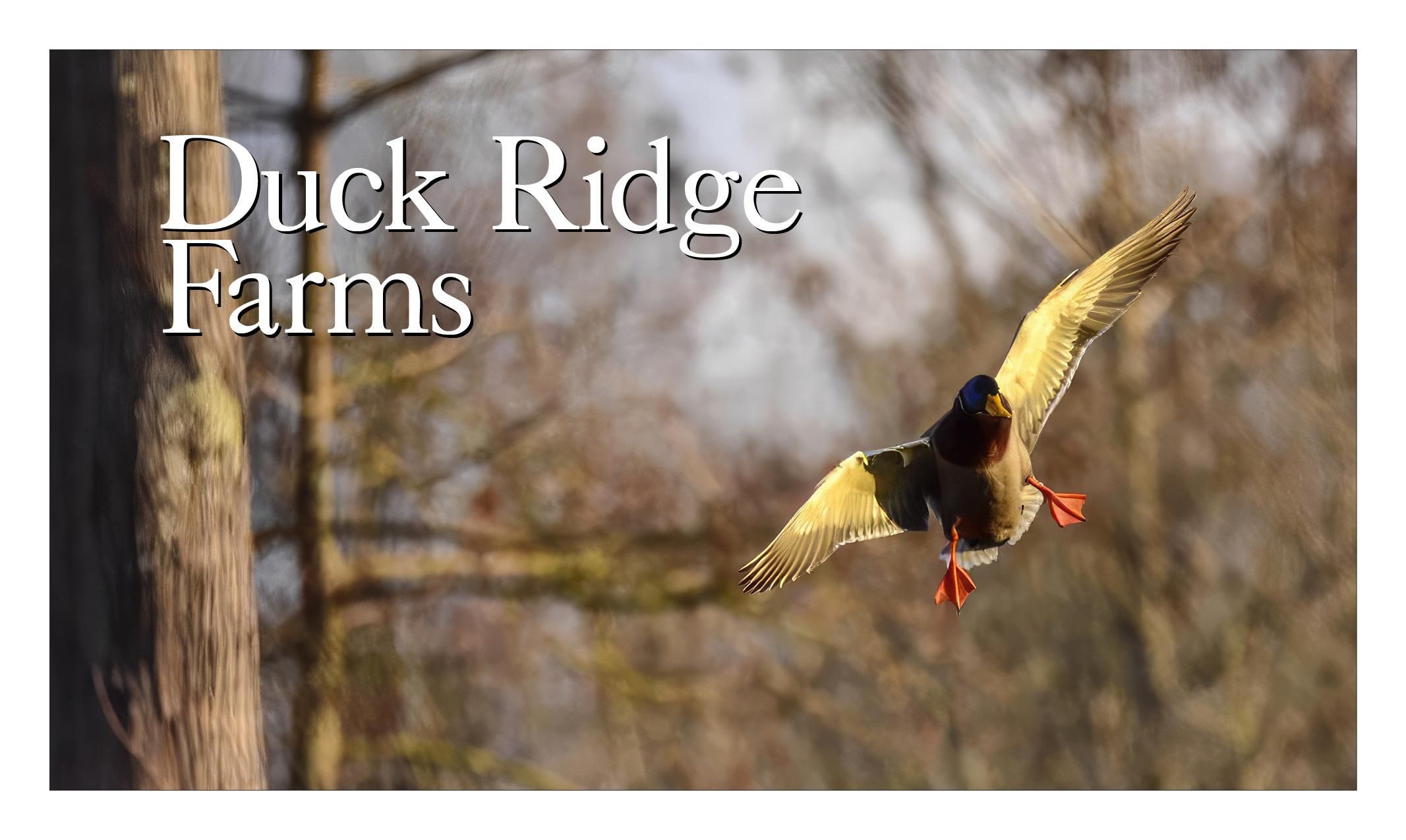 acres in Hickory Ridge, AR, 72347