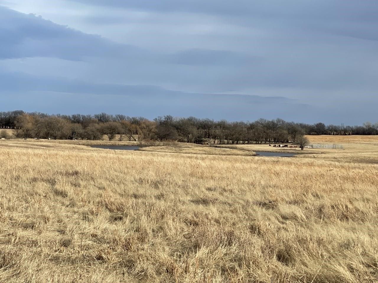 160 acres in Sumner County, Kansas