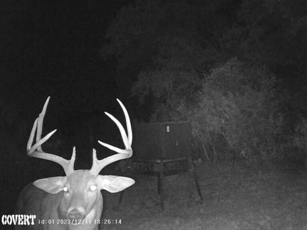 82 acres in Juno, TX, 78840