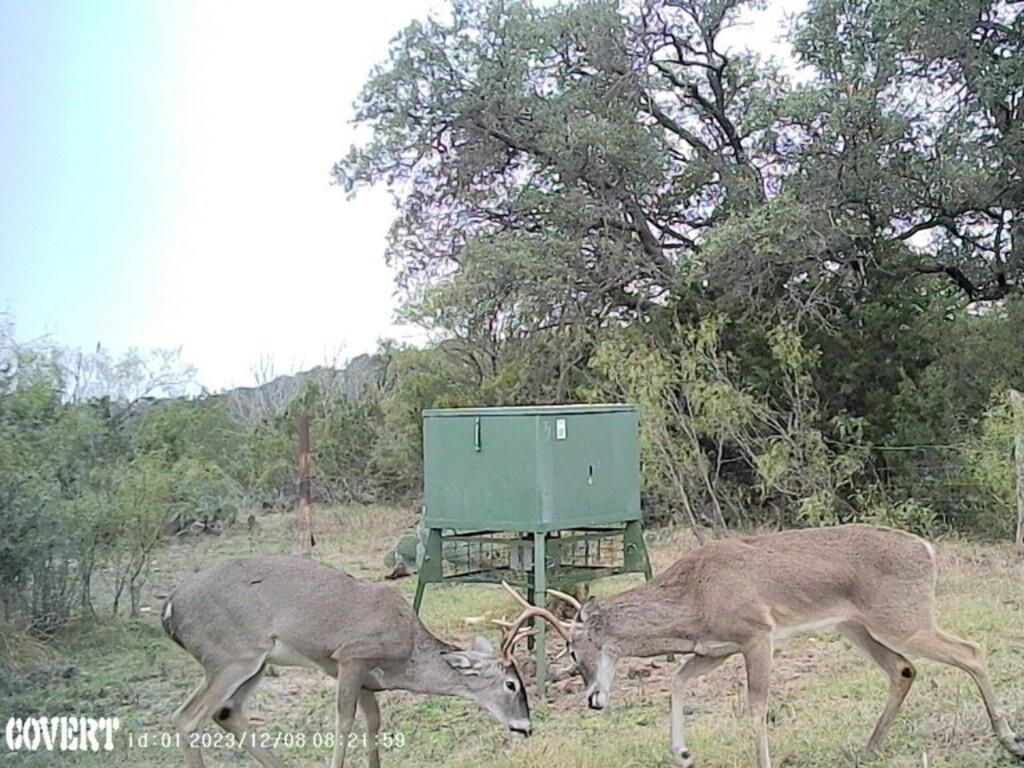 48 acres in Juno, TX, 78840