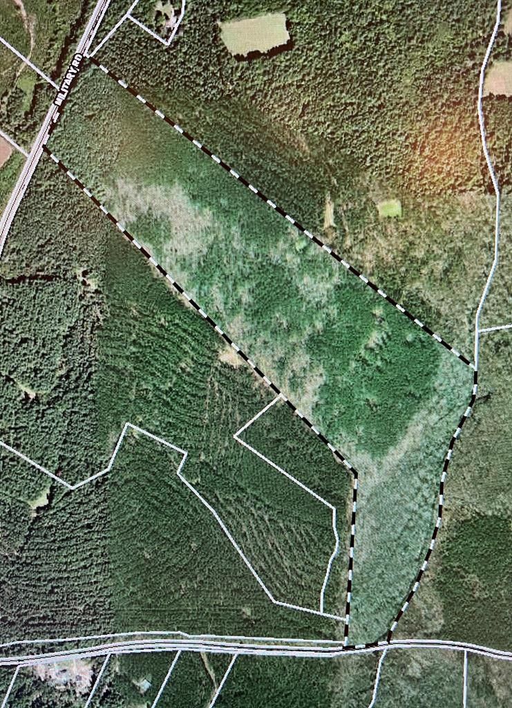 46.1 acres in Amelia County, Virginia