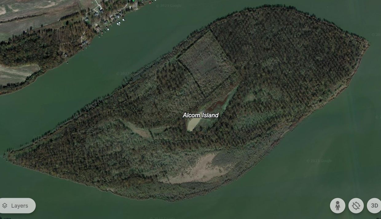 585 acres in Coahoma County, Mississippi