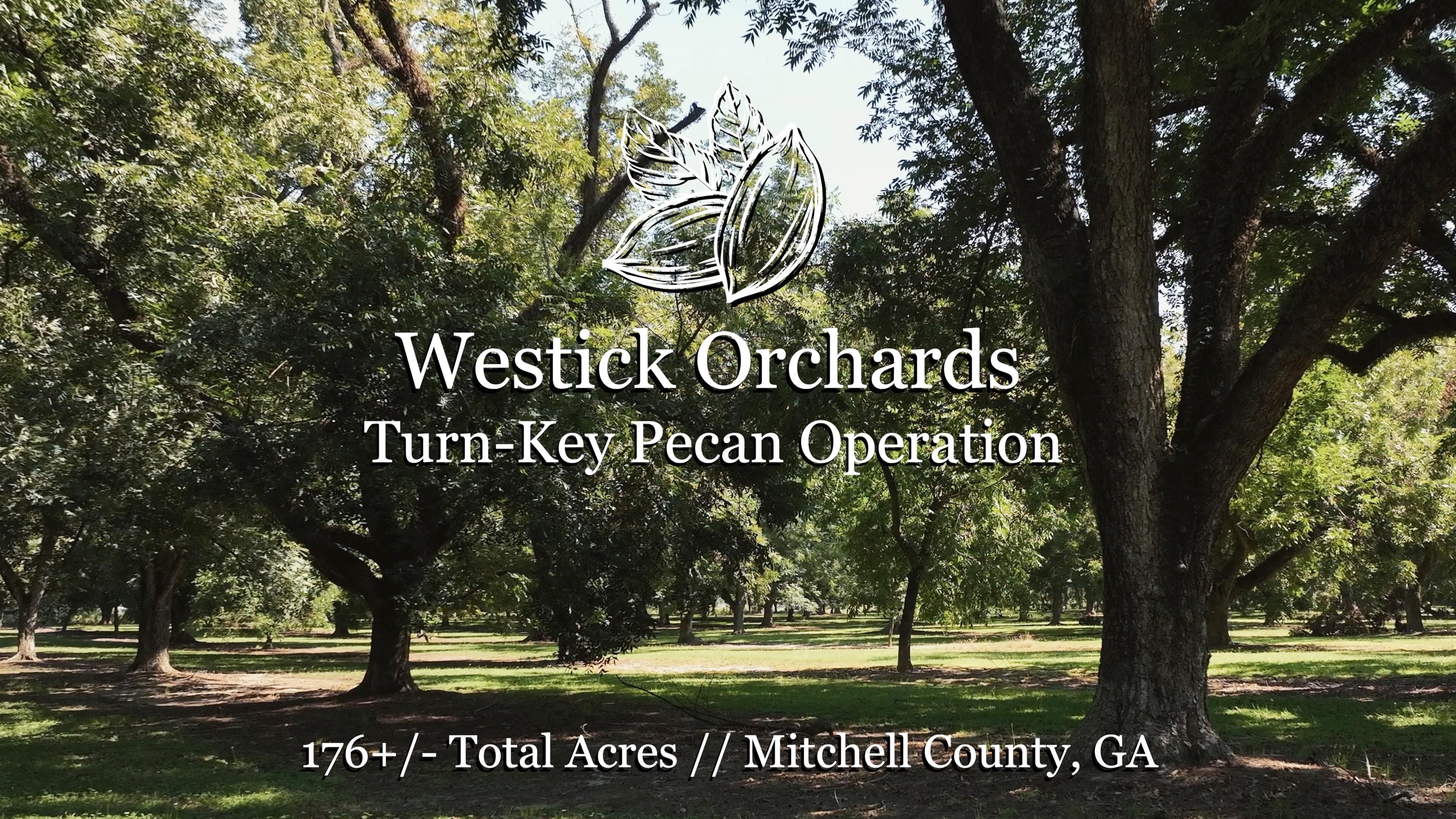 8710 Old Bainbridge Road, Baconton, GA 31716