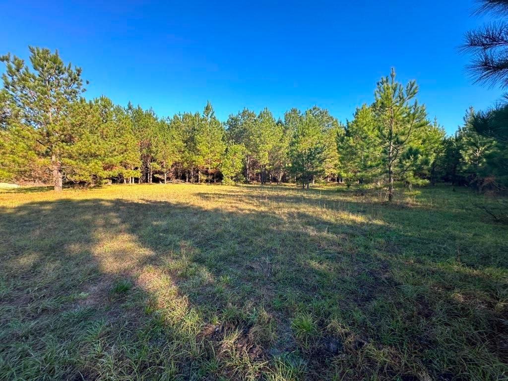 Union Church Road, Sylvania, GA 30467 MLS South Screven Pines