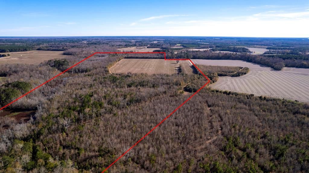 95.5 acres in Sumter County, South Carolina